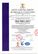 ISO 9001 V1